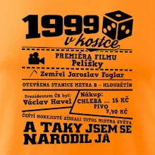 1999 v kostce