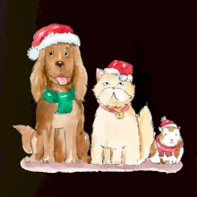 Veselé vánoce - pes, křeček a kočka