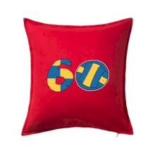 Volejbal kulaté narozeniny 60