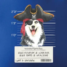 Lump a darebák husky