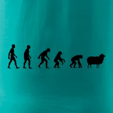 Evoluce ovce Evoluce ovce