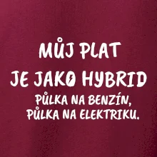 Můj plat jako hybrid