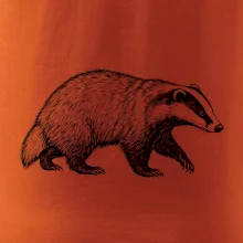 Zvířata Krkonoš – jezevec lesní