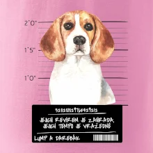 Lump a darebák bígl