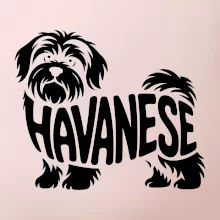 Havanese nápis v těle