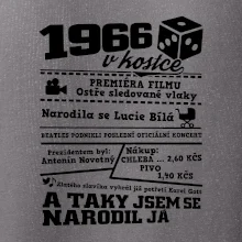 1966 v kostce