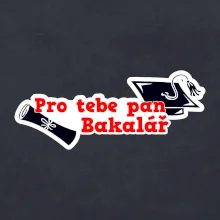 Pro tebe pan Bakalář Pro tebe pan Bakalář