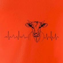 EKG křivka kráva