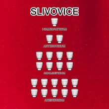 Slivovice počítání (Hana-creative)
