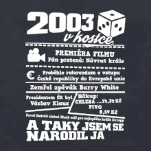 2003 v kostce