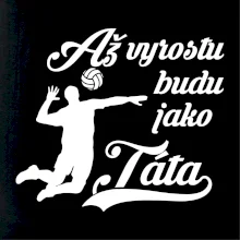 Až vyrostu budu jako táta Volejbal