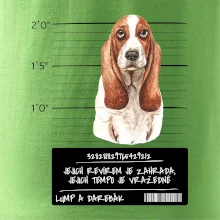 Baset - lump a darebák