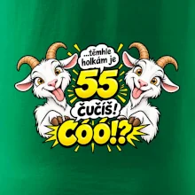 Těmhle holkám je 55, čučíš co?