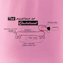 Jezevčík - Anatomie