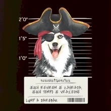 Lump a darebák husky