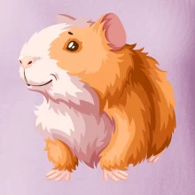 Morče - kreslené, bílo oranžové