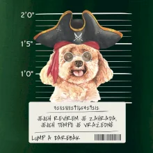Lump a darebák pudl