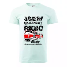 Jsem ukázněný řidič - tramvaj