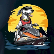 Chrt na vodním skútru