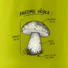 Anatomie hříbka