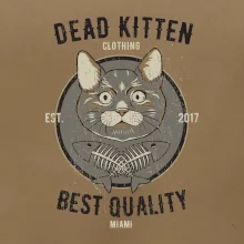 Cat deadkitten