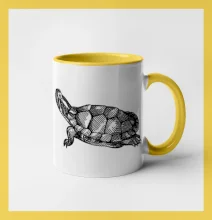 Tužkou kreslená želva