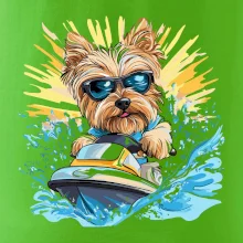 Yorkšírský teriér na vodním skútru