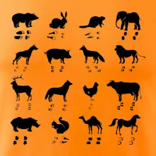 Zvířecí stopy s obrázkem zvířete - stopy zvířat