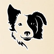 Border kólie obrys hlavy