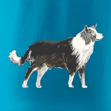 Border kolie kreslená