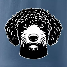 Lagotto romagnolo hlava na prsu