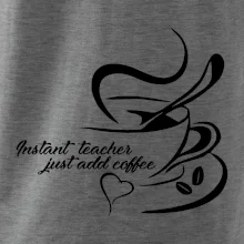 Instant teacher