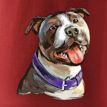 Americký stafordširský teriér  kreslený