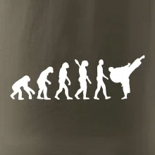 Karate Evoluce - kop
