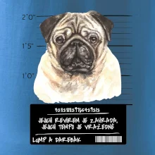 Lump a darebák mopsík