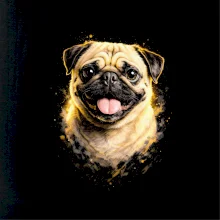 Obrázek polotón Mops