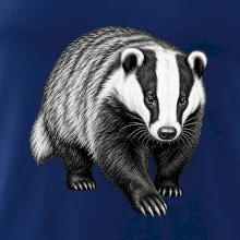Zvířata Jizerských hor- Jezevec lesní