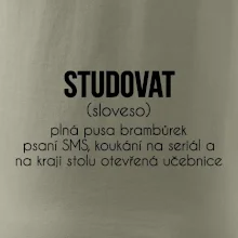 Studovat