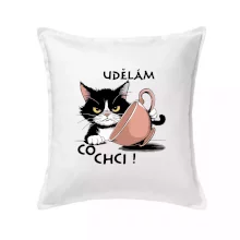 Kočka - udělám co chci