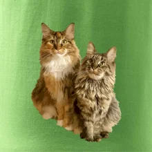 Kočky vectorizované  (Moňas)