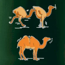 Pravda o velbloudech