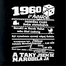 1960 v kostce