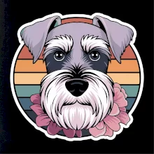 Knírač - fenka a květiny