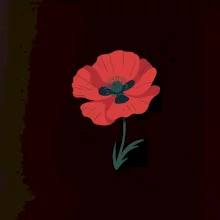 Vlčí mák kreslený velký