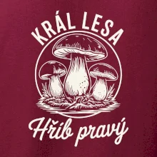 Král lesa hřib pravý