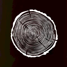 Letokruhy 40 bez věku