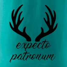 Harry - Expecto patronum