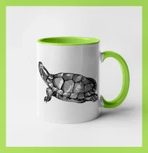 Tužkou kreslená želva