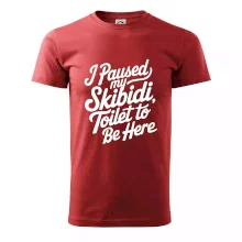 I Paused My Skibidi Toilet to be Here