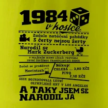 1984 v kostce